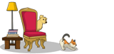 Dog cat and chair