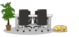 Meeting table, plant and dog