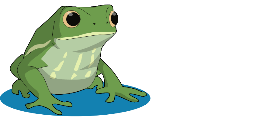 Frog2_X@2x