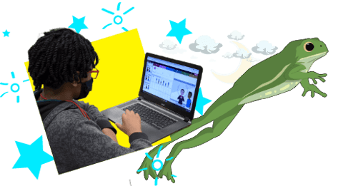 Student on laptop and frog