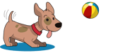 Dog and ball