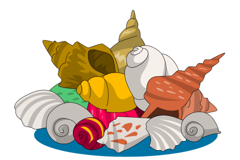Various shells