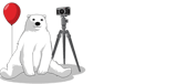 Bear balloon and camera