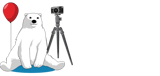 Bear, balloon and camera