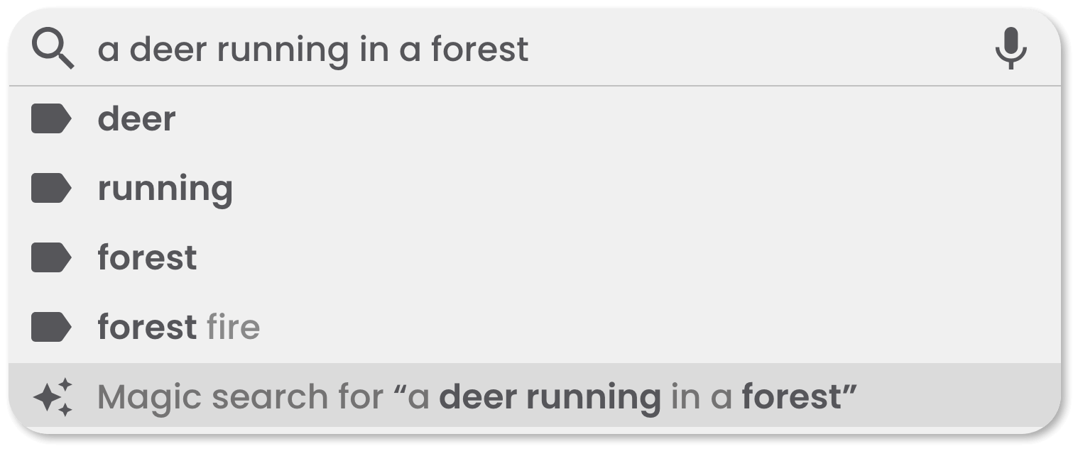 magic-search-example