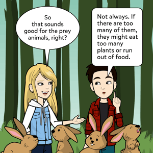 ecosystems_and_food_chains-002