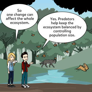 ecosystems_and_food_chains-003