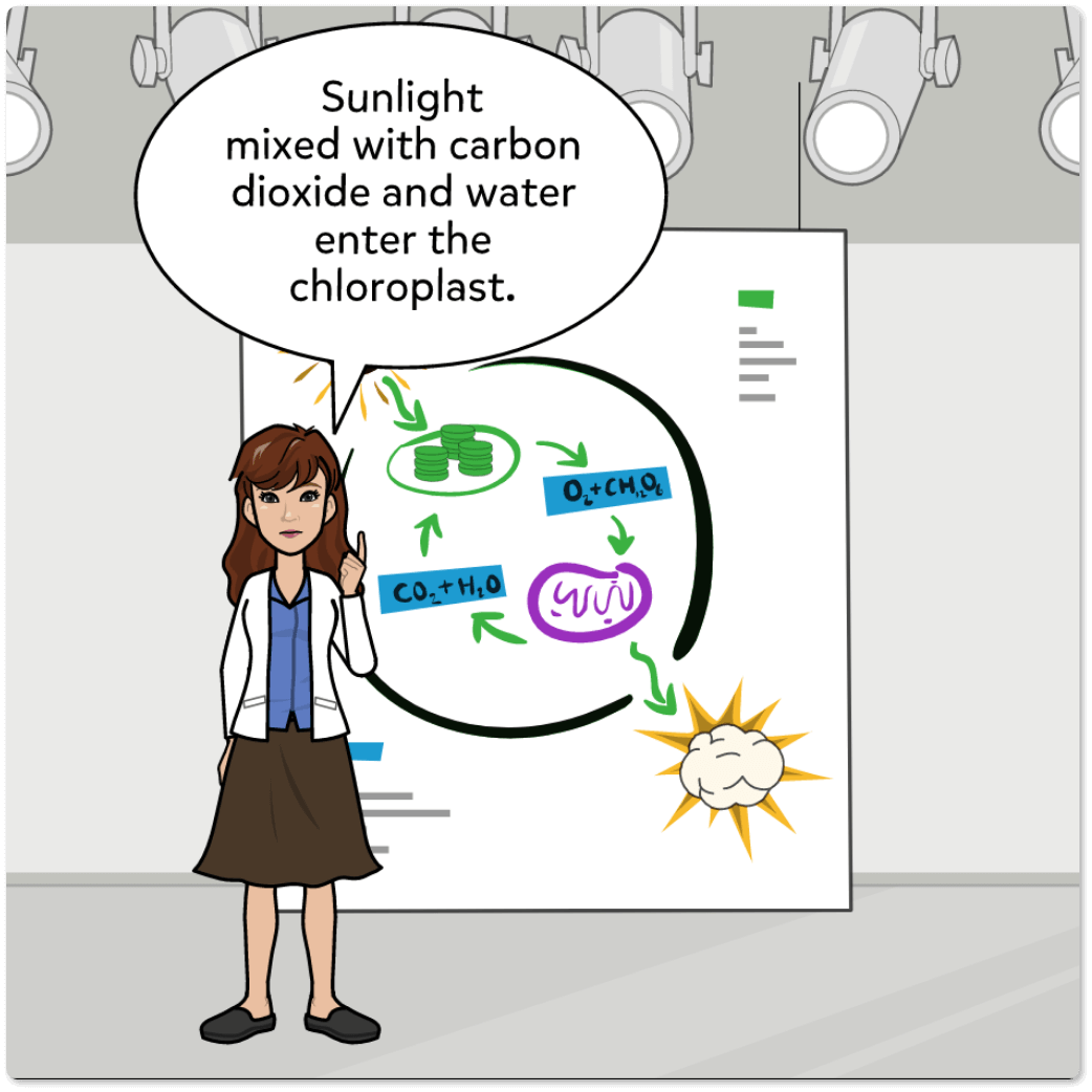 Curriculum Integration 1024