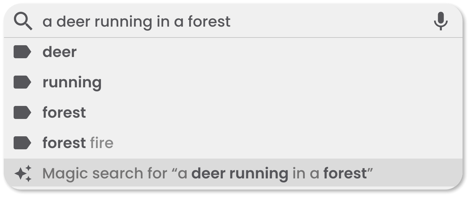 Magic Search Example